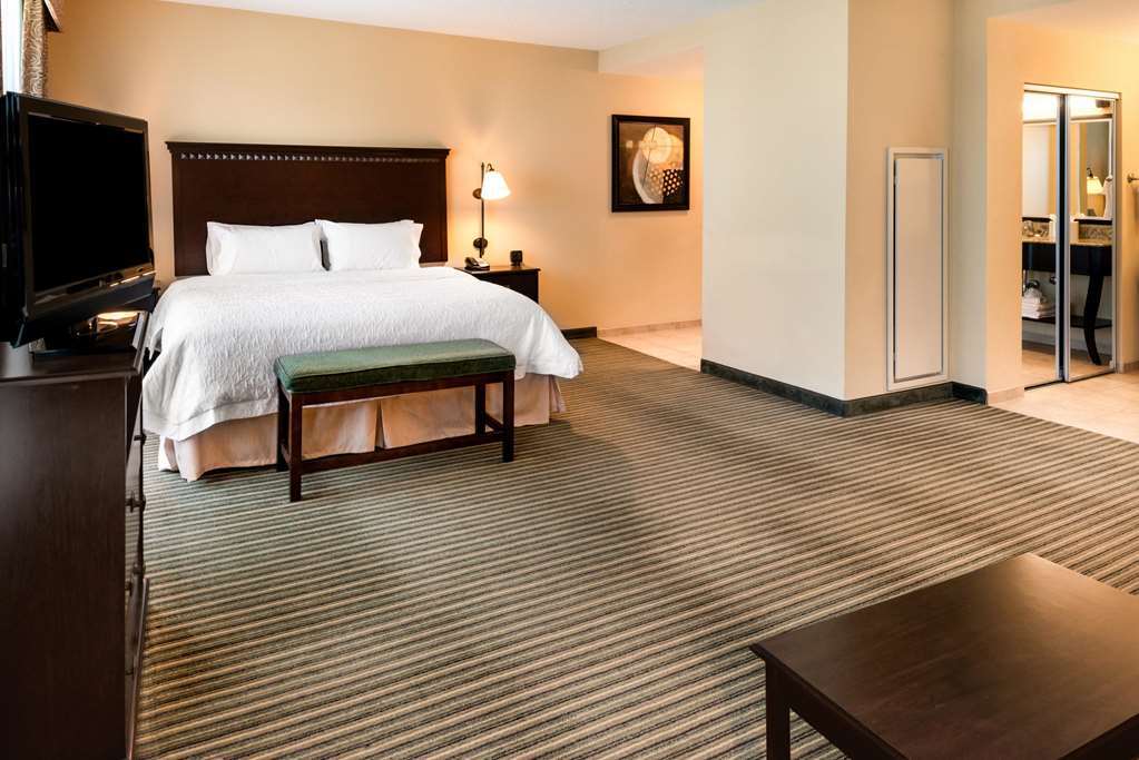 Hampton Inn & Suites National Harbor/Alexandria Area Pokój zdjęcie